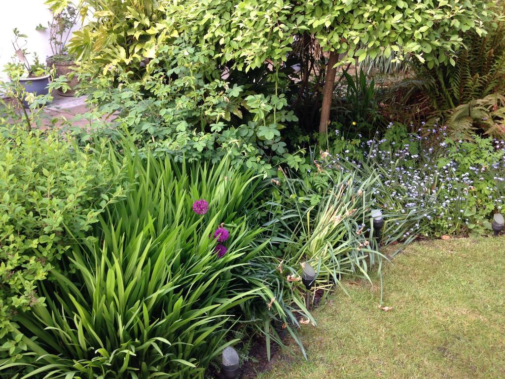 Bed & Breakfast Willow Yeadon